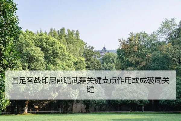 国足客战印尼前瞻武磊关键支点作用或成破局关键