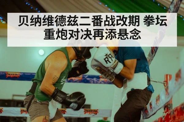 贝纳维德兹二番战改期 拳坛重炮对决再添悬念
