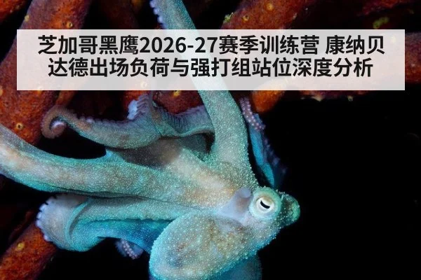 芝加哥黑鹰2026-27赛季训练营 康纳贝达德出场负荷与强打组站位深度分析